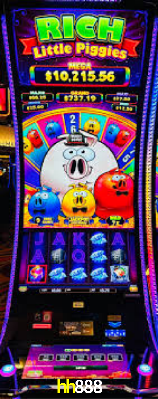 Interface Premium hh888